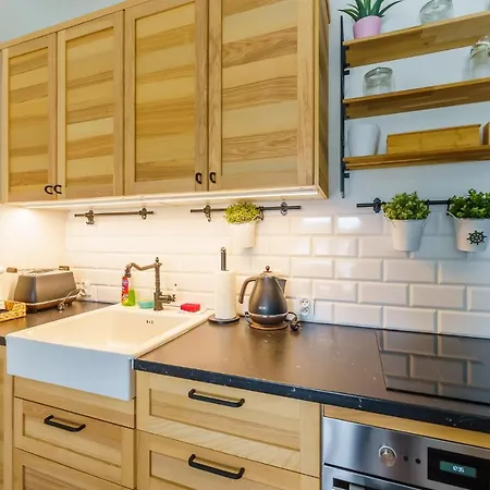 5 Morz Apartment Sianozety